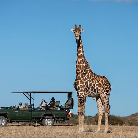 Mabula Game Reserve Safari Plainsヴィラ エクステリア 写真