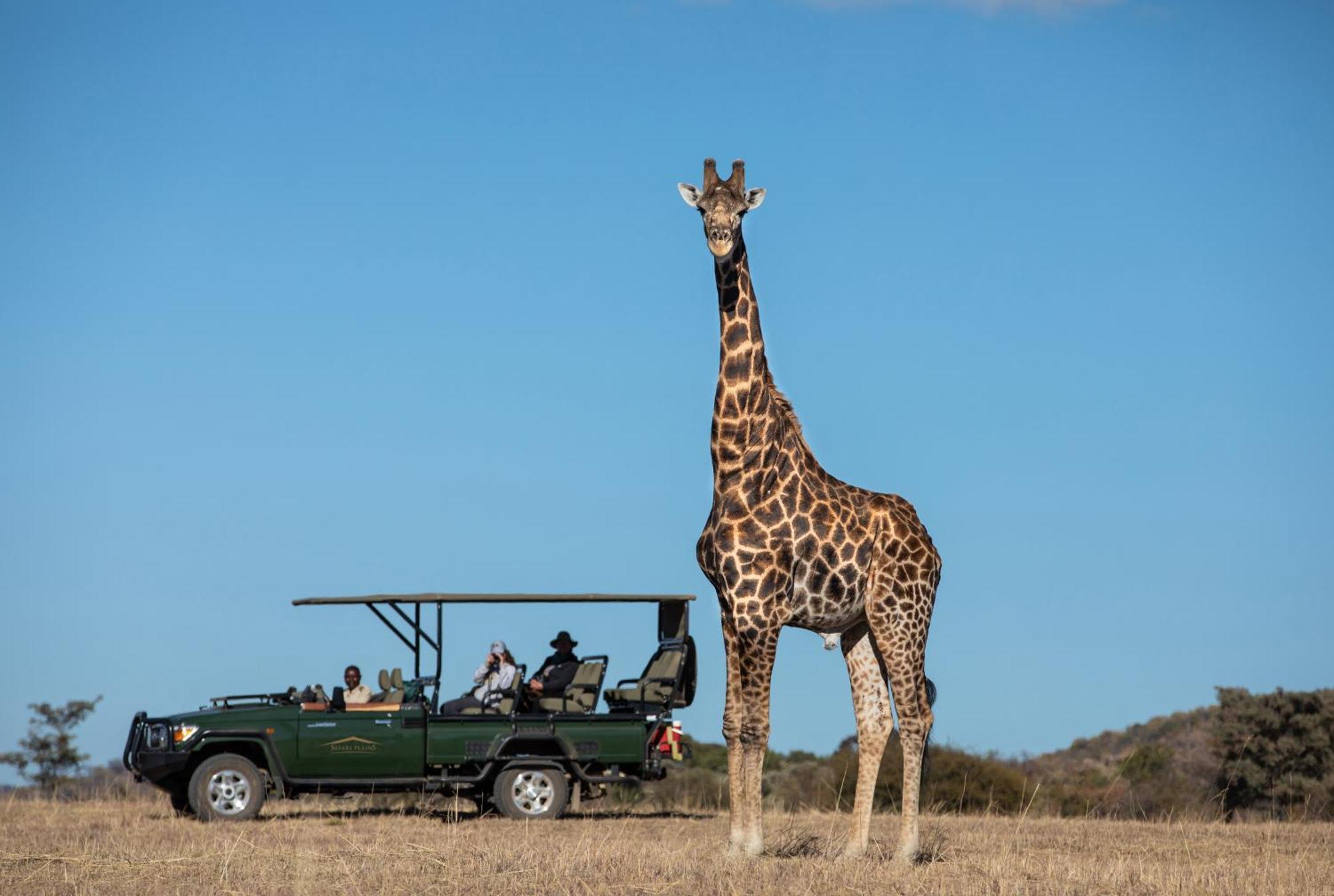 Mabula Game Reserve Safari Plainsヴィラ エクステリア 写真