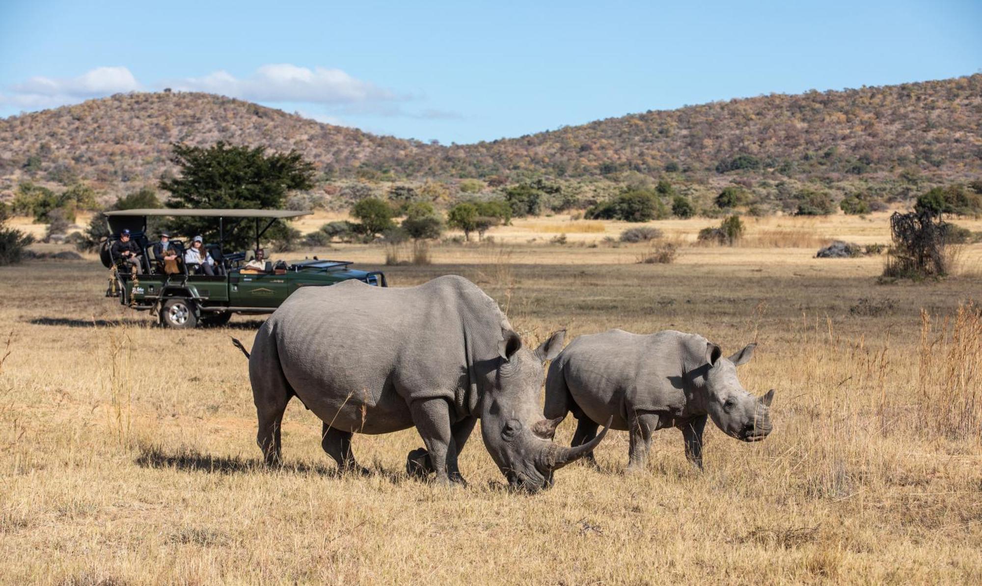 Mabula Game Reserve Safari Plainsヴィラ エクステリア 写真