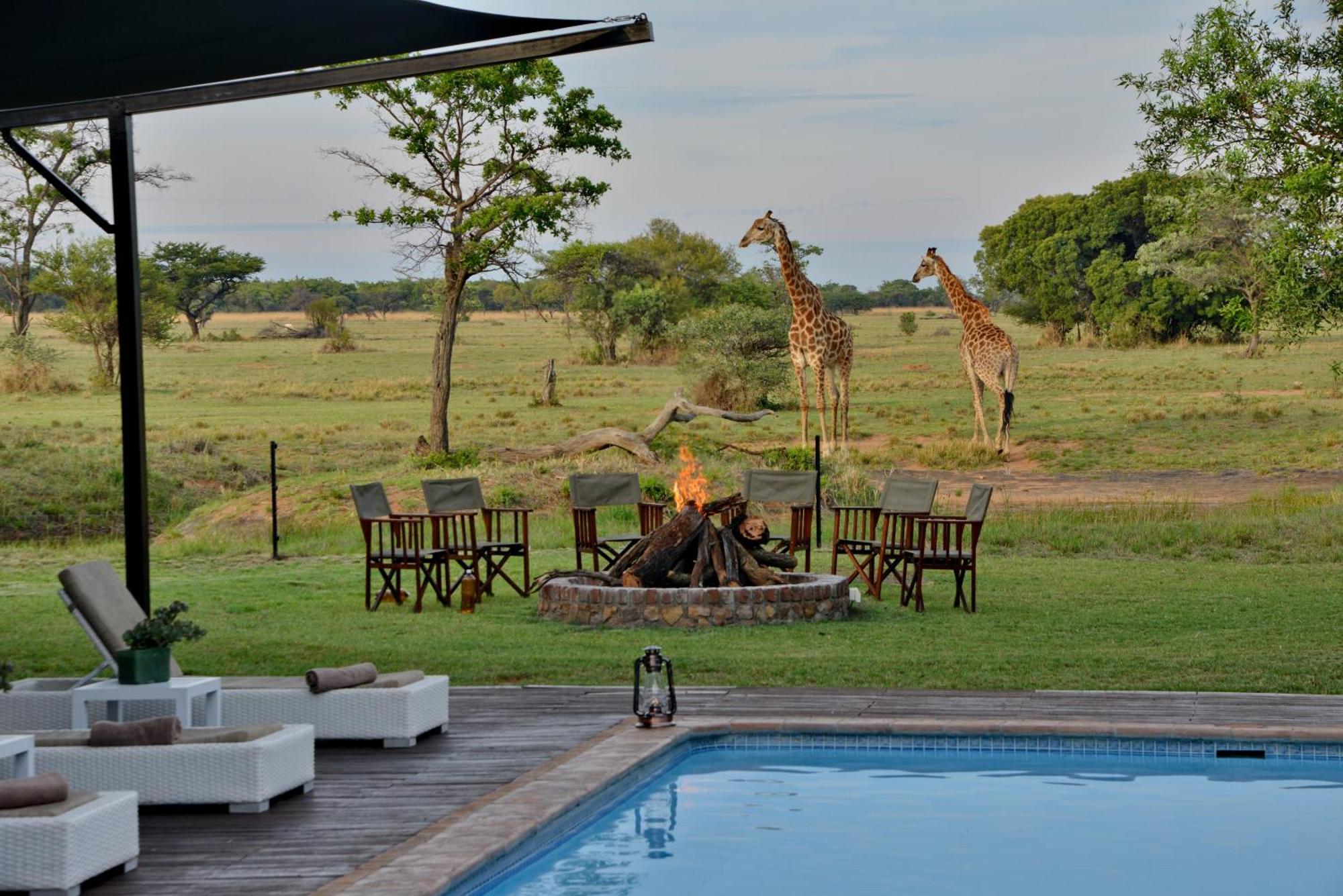 Mabula Game Reserve Safari Plainsヴィラ エクステリア 写真